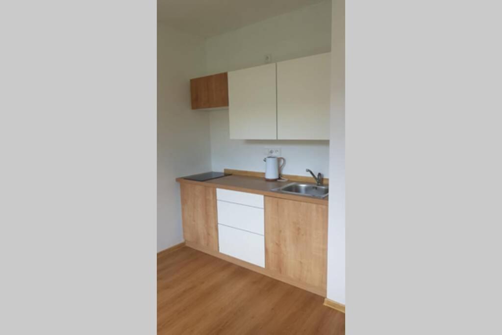 Apartman Jakub Sklar Железна Руда Екстер'єр фото
